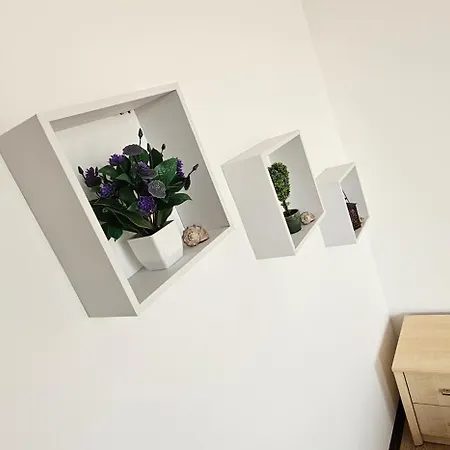 Sunny Holidays Apartment, Morsky Bryag * سفيتي فلاس